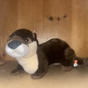 🔥Stuff Animal Otter. Wild Republic Size 15x6x6.5.🔥